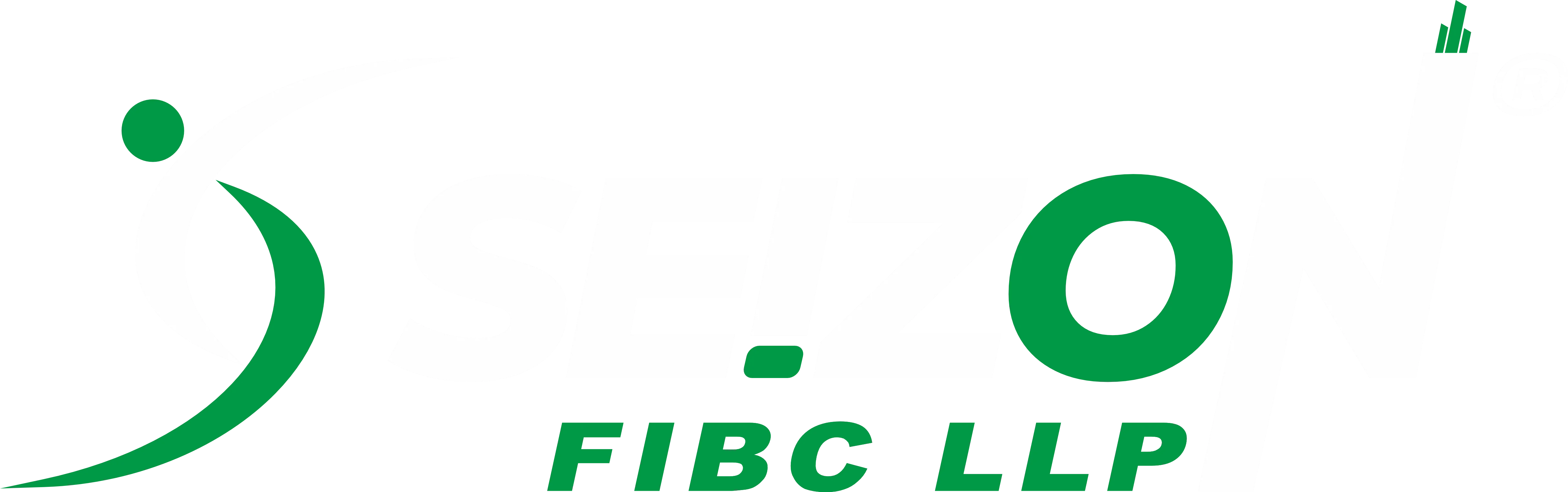 SEIZON FIBC Logo